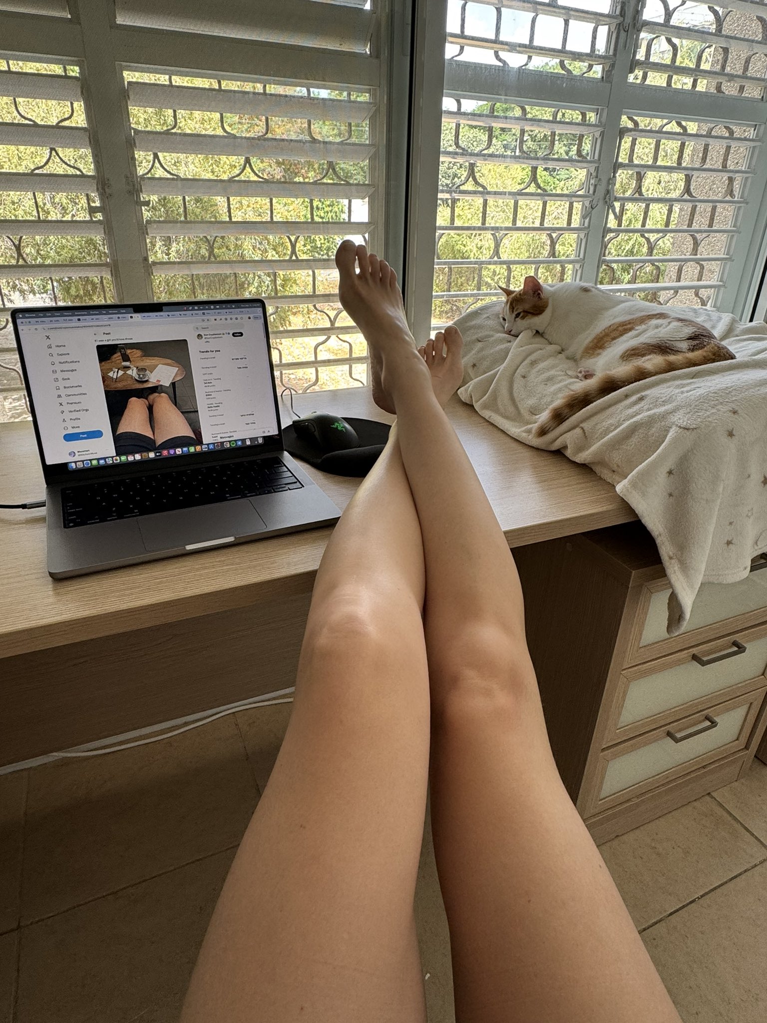 Feet on desk with laptop and cat