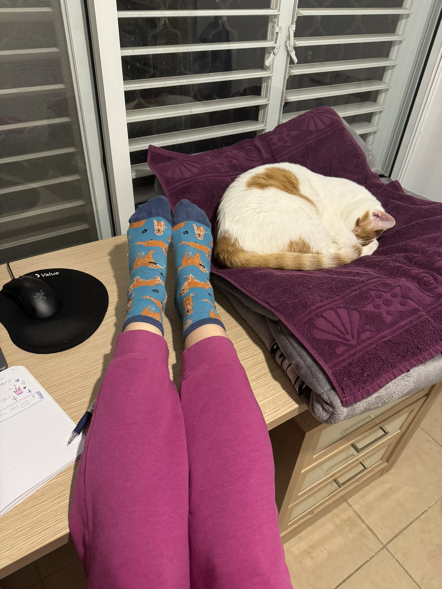 Feet in fox pattern socks with cat